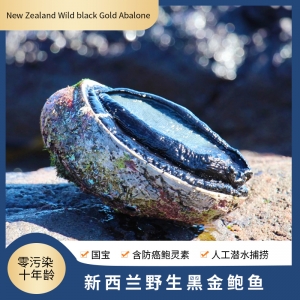 【国内仓现货】新西兰野生黑金鲍鱼（大号）约400g-500g /1个