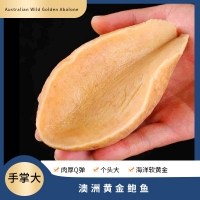 【国内仓现货】Tasman Kitchen塔斯曼澳洲黄金鲍鱼 2只装 规格：400-500克X2只