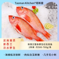 【国内仓现货】Tasman Kitchen塔斯曼新西兰整条野生红石斑鱼 2条 500-700克/条